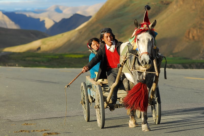 Horse-Drawn Carriage Proposal